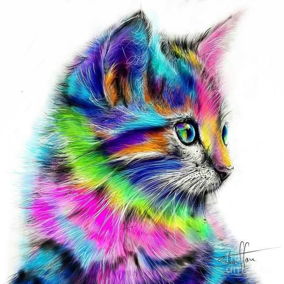 Meet your Posher, Jonell - Picture 1 of 1